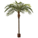 11' Silk Coconut Palm Tree w/Pot -Green - P61560