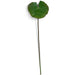 35" Artificial Foam Water Lily Leaf Stem -Green/Mauve (pack of 6) - P83005