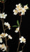45" Artificial Cherry Blossom Flower Spray Branch -Cream (Pack of 6) - P15000-0CR