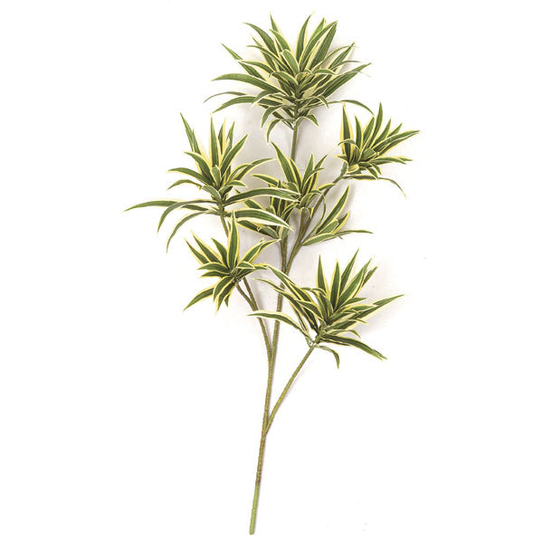 how to branch a dracaena 32" IFR Artificial Dracaena Reflexa Branch Stem -Green/Yellow — Silks Are Forever