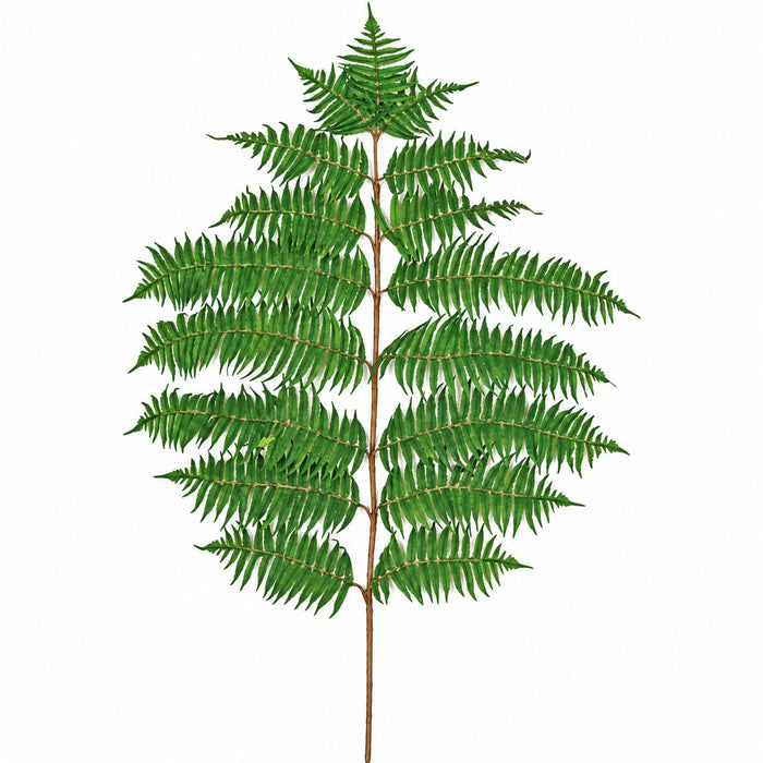 36" IFR Artificial Hawaiian Fern Branch Stem -Green (Pack of 12) - PR310