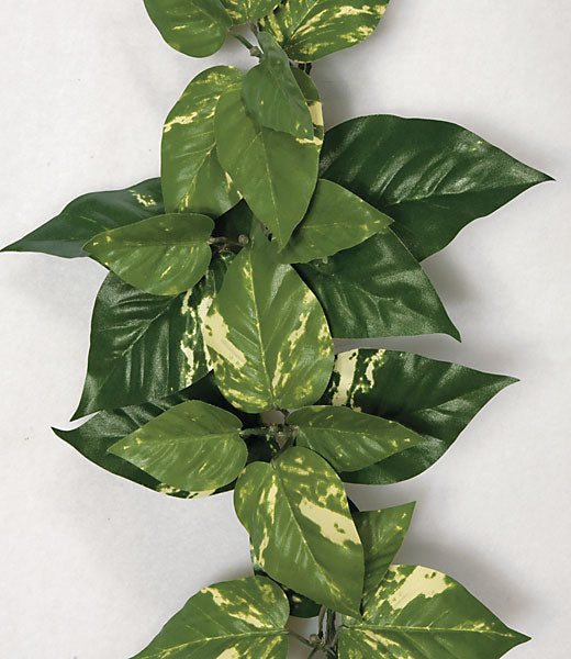 9' IFR Pothos Artificial Garland -Green/White (pack of 6) - PR88010