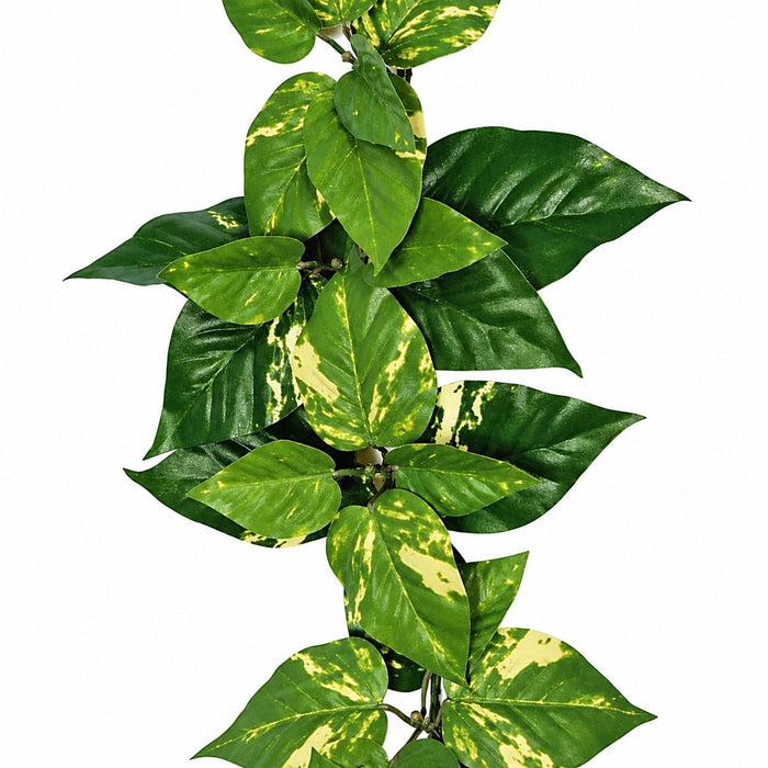 9' IFR Pothos Artificial Garland -Green/White (Pack of 6) - PR88010
