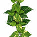 9' IFR Pothos Artificial Garland -Green/White (Pack of 6) - PR88010