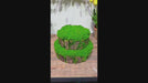 17" Round Moss Stump Artificial Topiary -Green (Pack of 2) - AA1208-GR