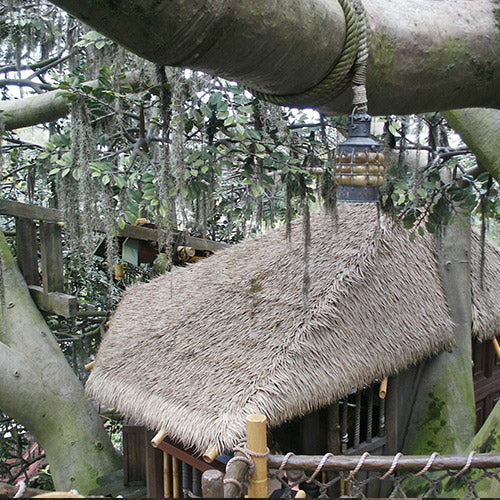 Artificial thatch roof in the Swiss Family Treehouse case study, photograph dated 2004