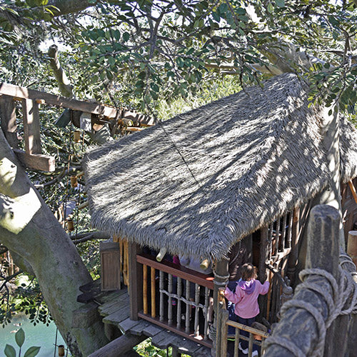 Artificial thatch roof in the Swiss Family Treehouse case study, photograph dated 2015