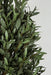 5' CUSTOM MADE UV-Proof Outdoor Artificial Cone-Shaped Topiary Olive Tree w/Pot -Green - W113805