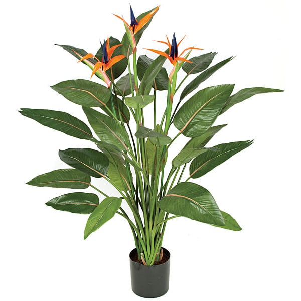 4'7" Bird Of Paradise Silk Plant w/Pot -Orange/Green - W130010