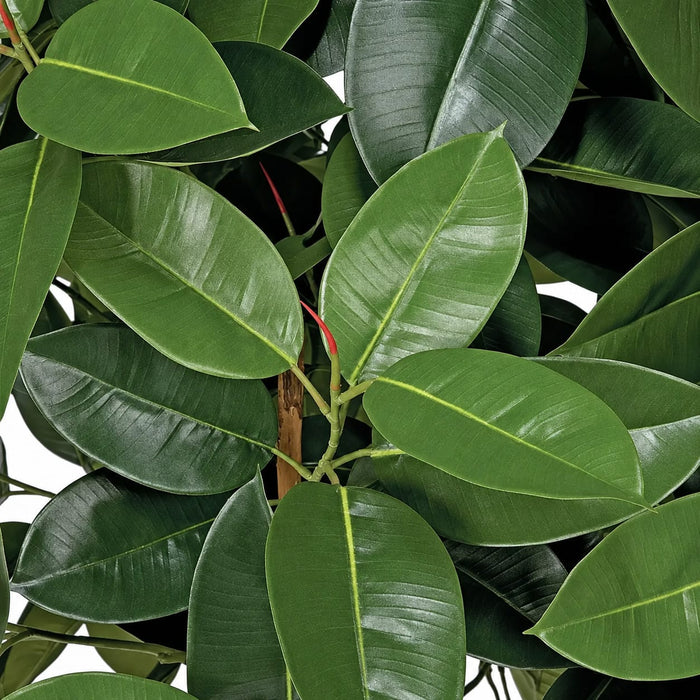 8' Rubber Silk Tree w/Pot -Green - W140120