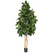 8' Rubber Silk Tree w/Pot -Green - W140120