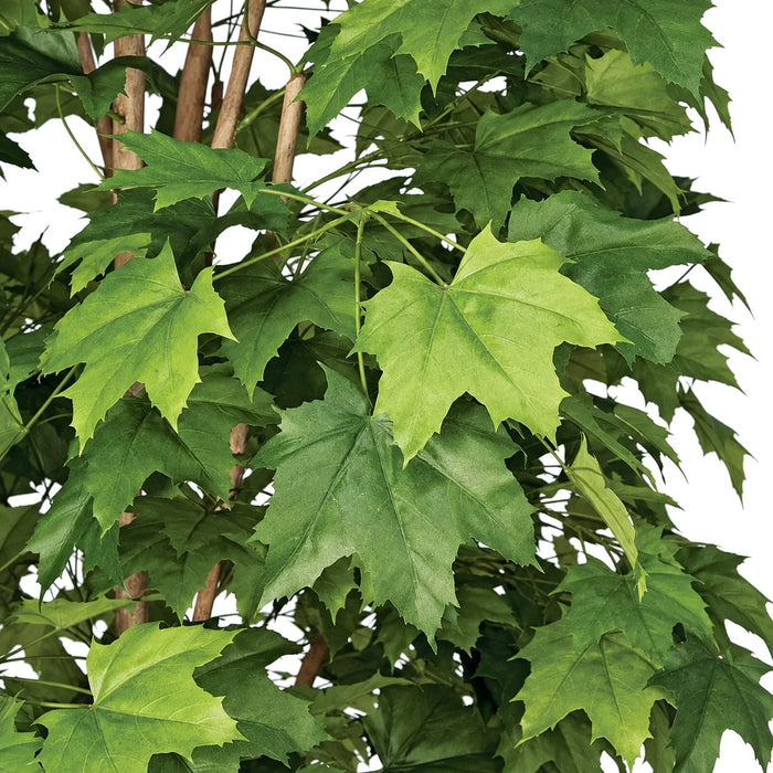 7'6" Sugar Maple Silk Tree w/Pot -Green - W140160