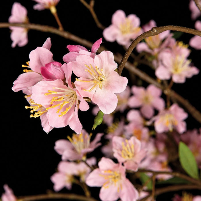 6'6" Cherry Blossom Flower Silk Tree w/Pot -Pink - W15002-5