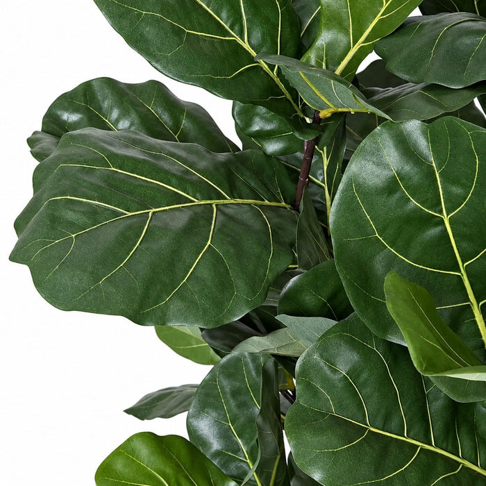 5'8" Fiddle Leaf Fig Artificial Tree w/Pot -Green - W160030