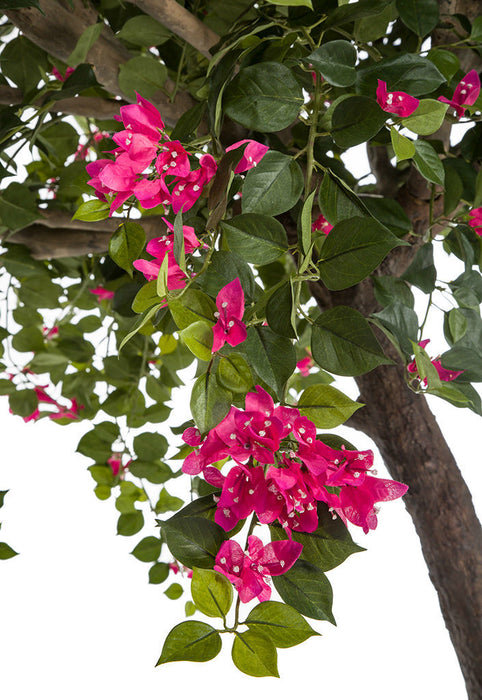 9' Silk Bougainvillea Flower Tree w/Pot -Fuchsia - W160050