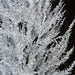4'Hx24"W CUSTOM MADE Alpine Ice Artificial Tree -White/Black - W162004