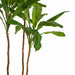 8' Triple Trunk Cordyline Tree w/Pot -2 Tone Green - W170030