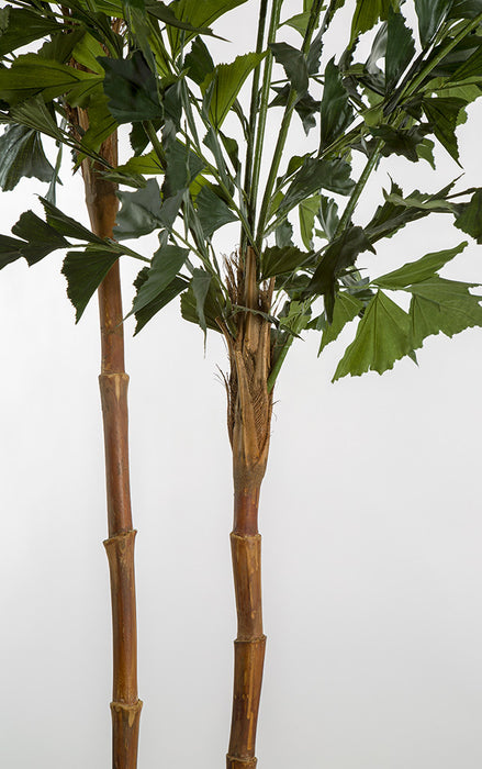 9'6" Silk Fishtail Double Trunk Palm Tree w/Pot -2 Tone Green - W170040