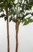 9'6" Silk Fishtail Double Trunk Palm Tree w/Pot -2 Tone Green - W170040