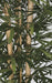 7' Thick & Thin Cane Silk Bamboo Tree w/Pot -1,664 Leaves -Green - W170300