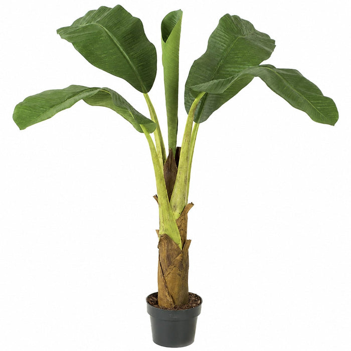 3' Banana Silk Plant w/Pot -Green (Pack of 2) - W2470