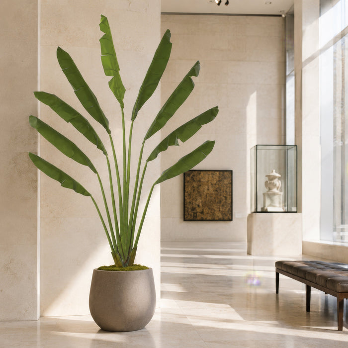 10'6" Traveler's Palm Silk Plant w/Wood Base -Green - W2790