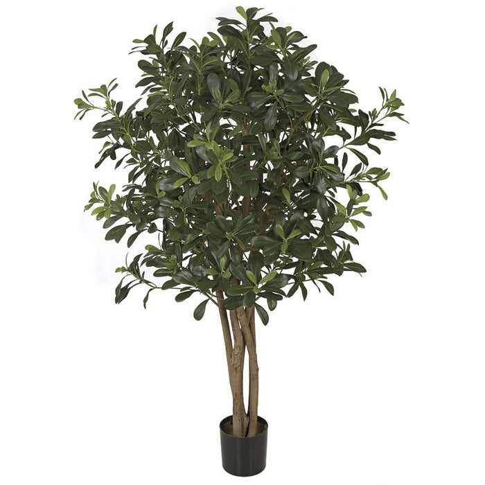 4' IFR Pittosporum Artificial Tree w/Pot -Green - WR160040