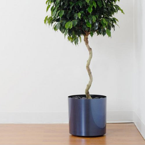 10 in indoor planter 10"Hx10.5"W to 18"Hx20"W Vista Metallic Floor Round Planter — Silks Are Forever