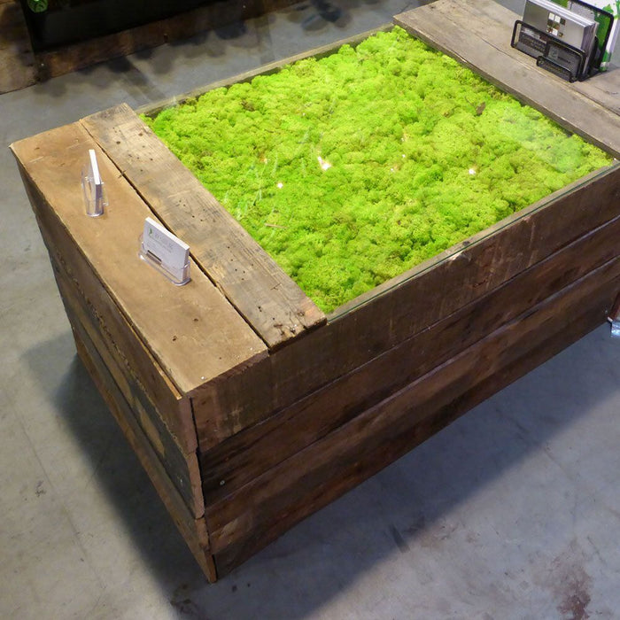 Preserved Reindeer Moss Planter Top Dressing 10lb Box