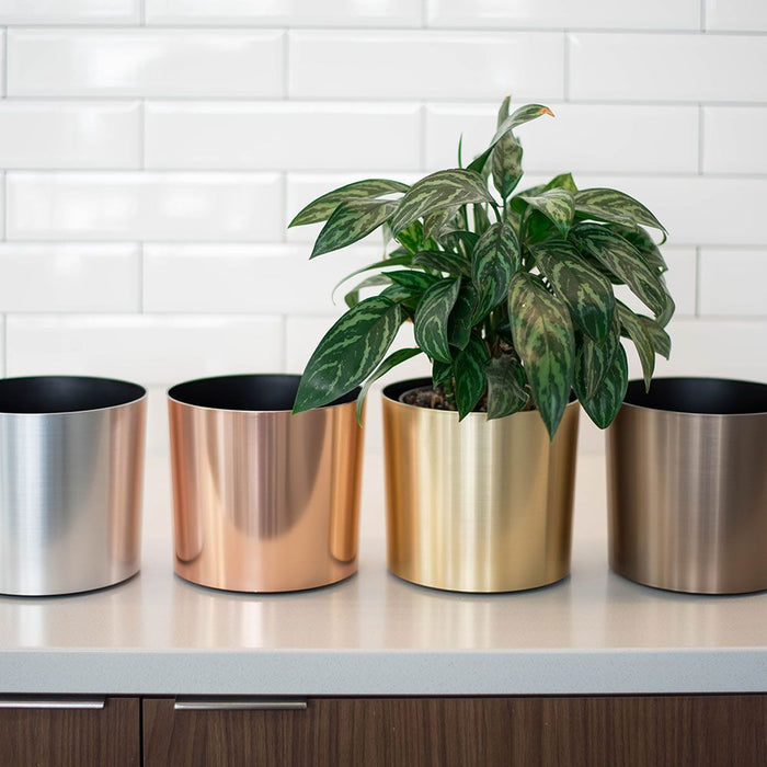 rose gold indoor planter 6"Hx7"W to 7"Hx12"W Vista Metallic Tabletop Round Planter