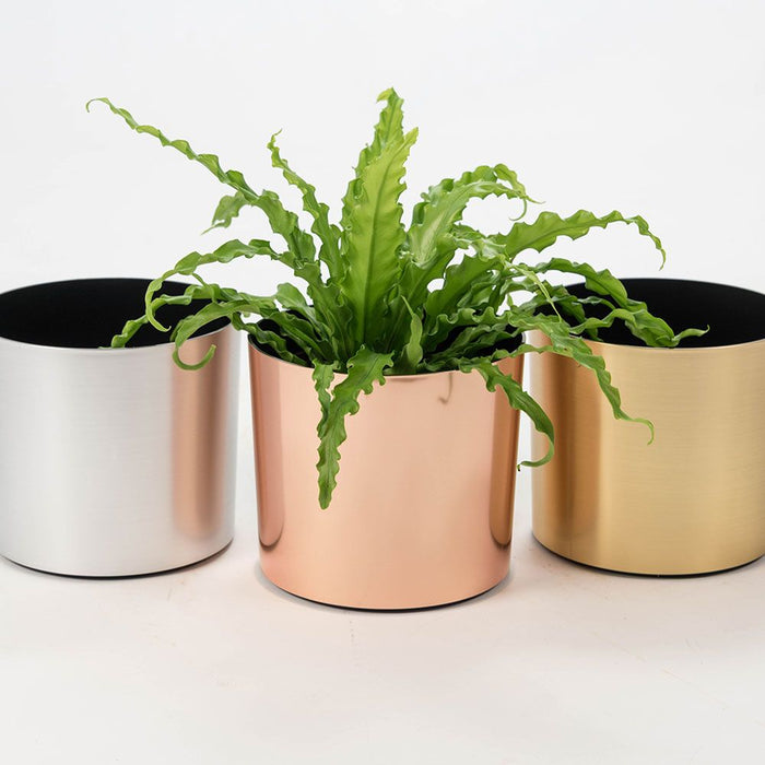 chrome plant pot 6"Hx7"W to 7"Hx12"W Vista Metallic Tabletop Round Planter