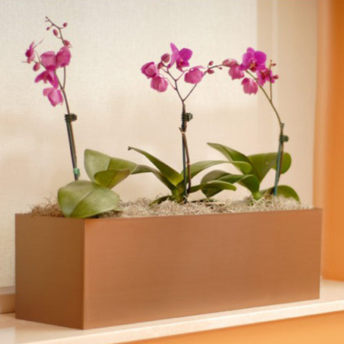 7"Hx24"W to 7"Hx30"W Vista Metallic Rectangle Planter